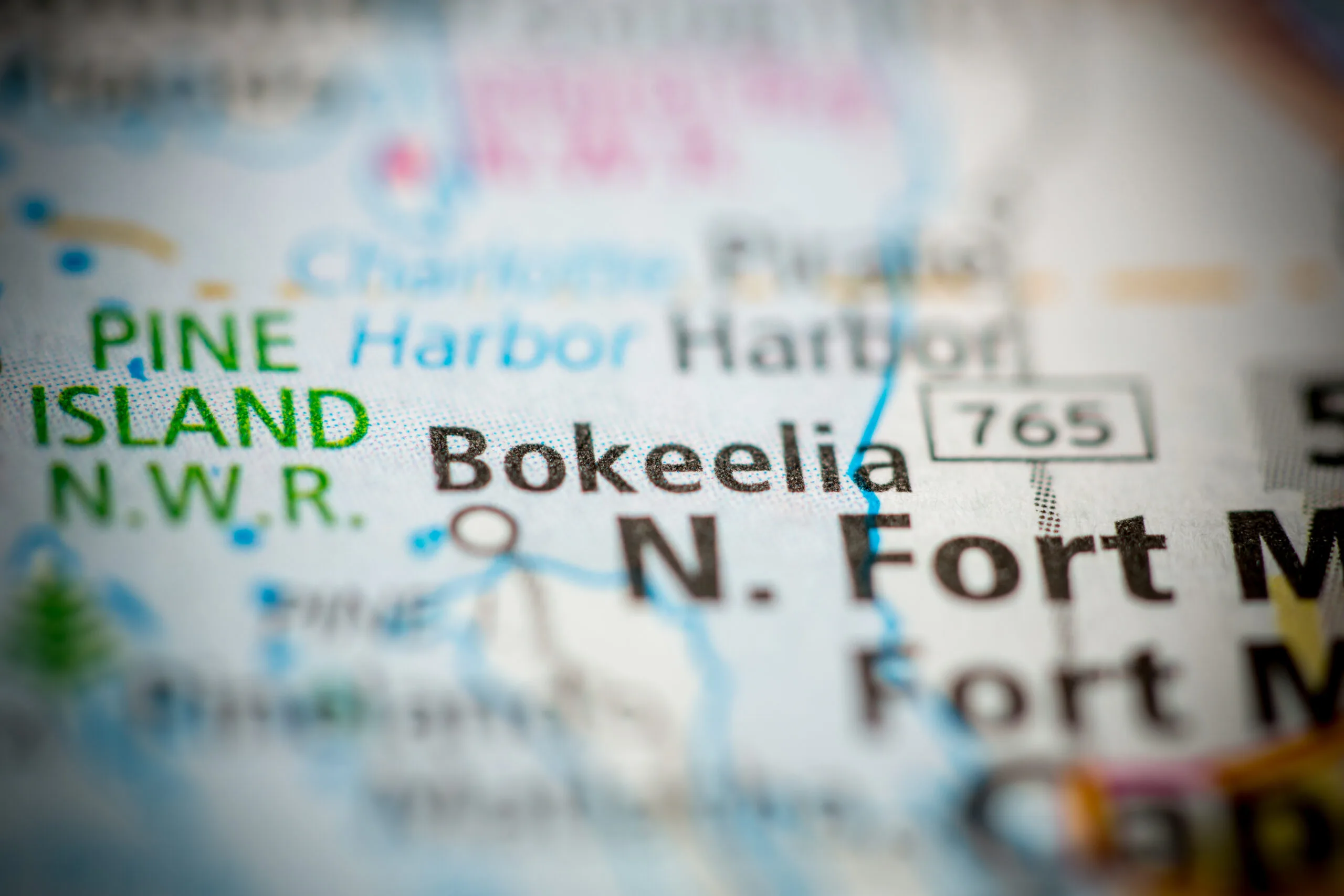 Bokeelia.,Florida.,Usa