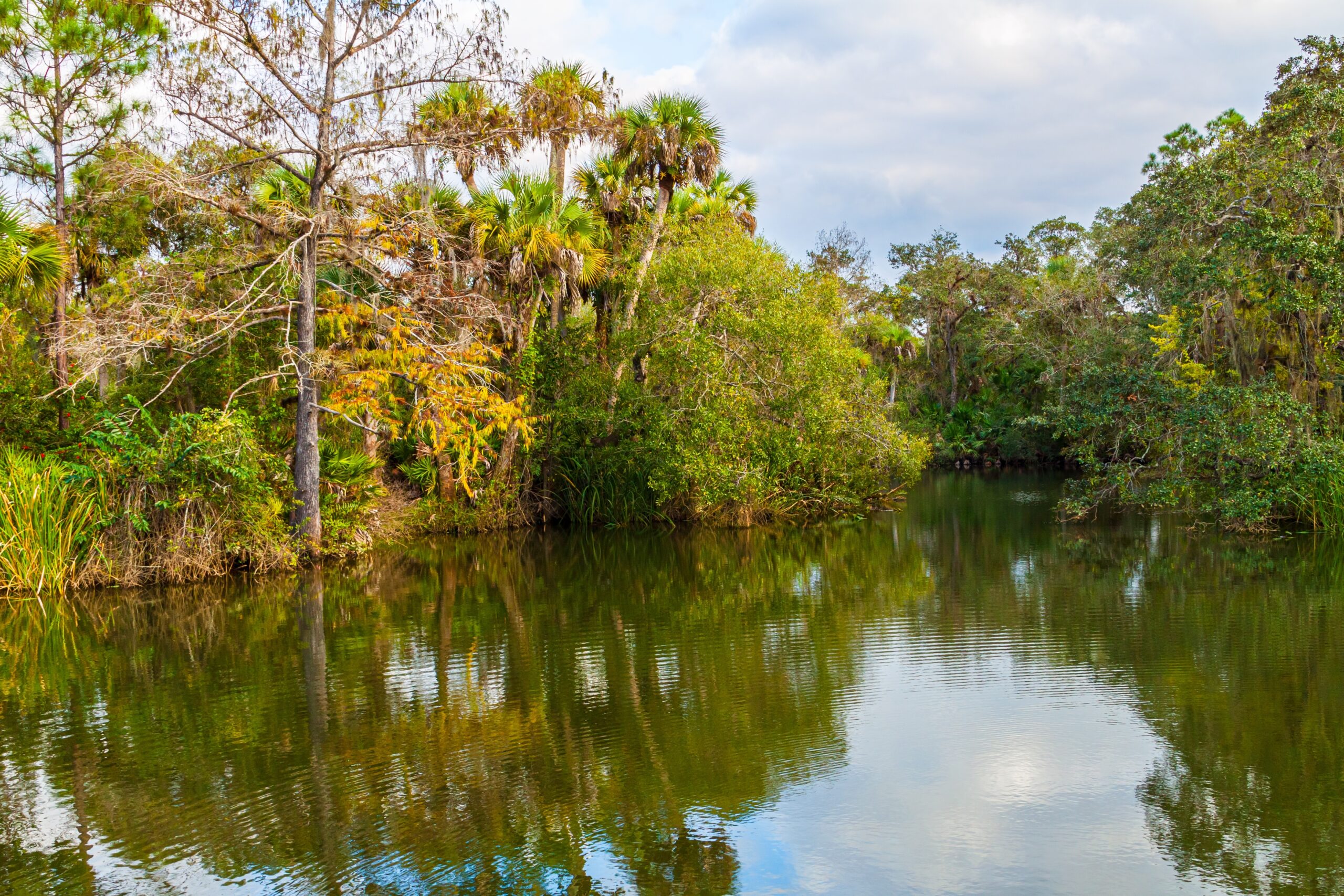 Calusa Blueway Fort Myers Shores, FL