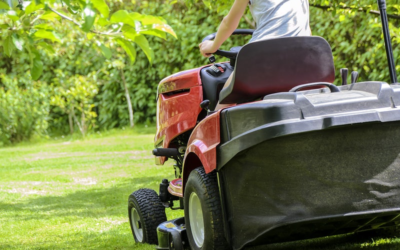 Master the Art of Turf Care: Expert Tips for a Lush Lawn