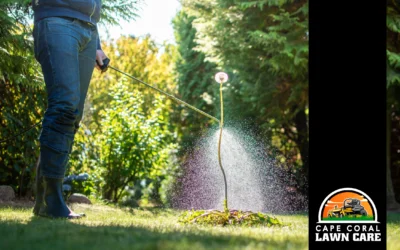 Master Weeds and Weed Control: Your Guide to a Thriving Yard