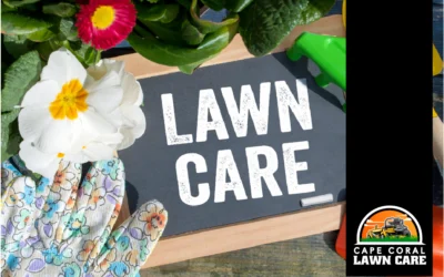9 Essential Lawn Care Tips for Beginners