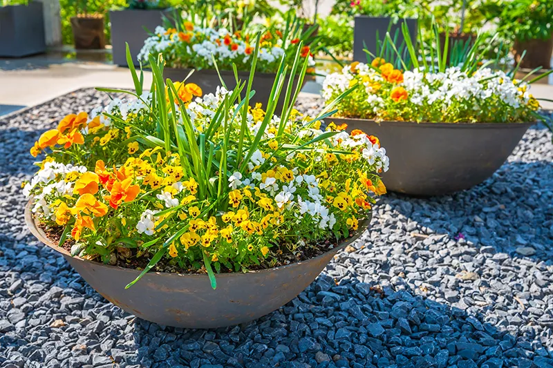 cape-coral-rock-bed-planters