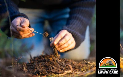 How (and WHY) You Should Test Your Soil