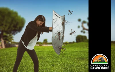 What’s the Skinny on Mosquito Control for Lawn Care Near Me?