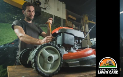 Essential Lawn Mower Maintenance Tips for Every Homeowner