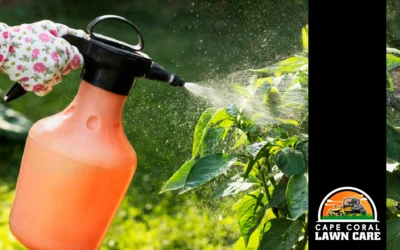 2 Major Pest Control Points to Pinpoint for Your Lawn