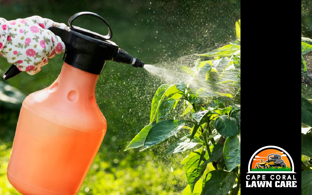 071424-blog_cclc-pest-control-points