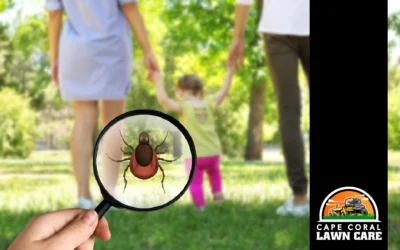 When Finding Lawn Care Near Me, Should I Look at Tick Control?