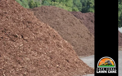 Top 3 Things You Need to Know About Bulk Mulch