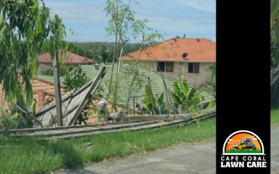 Storm Clean Up in Cape Coral: How to Restore Your Lawn After Severe Weather