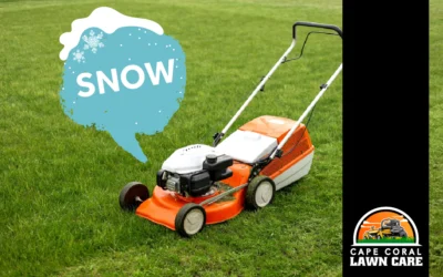 The Lawn Mower Who Dreamed About Snow: A Florida Holiday Tale