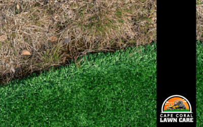 Synthetic Turf vs Natural Grass in Cape Coral: Which Is Best for Your Florida Lawn?