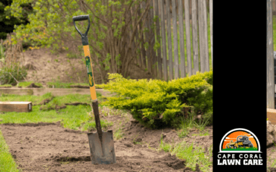 Renovating Your Garden on a Budget: Tips from a Lawn Care Service in Cape Coral, FL