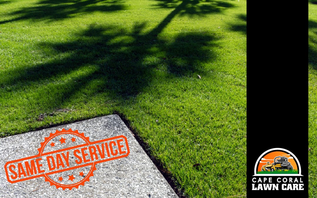 11926-blog_cclc-same-day-lawn-service