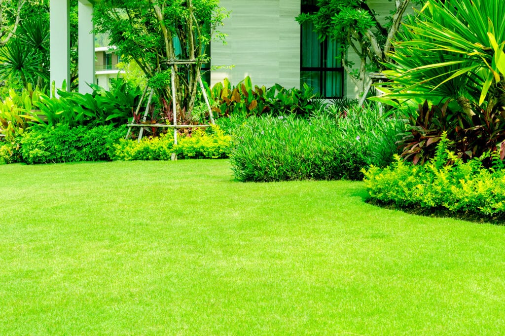 Healthy green lawn in Cape Coral maintained with seasonal Florida lawn care practices.