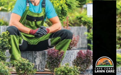 Low Maintenance Landscaping in Florida: Easy Tips for a Stress-Free Yard