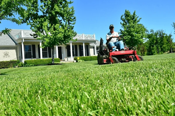 freshly-cut-lawn-home-close-up A close up of grass blades with a man riding a lawn mower and a house in the distance.