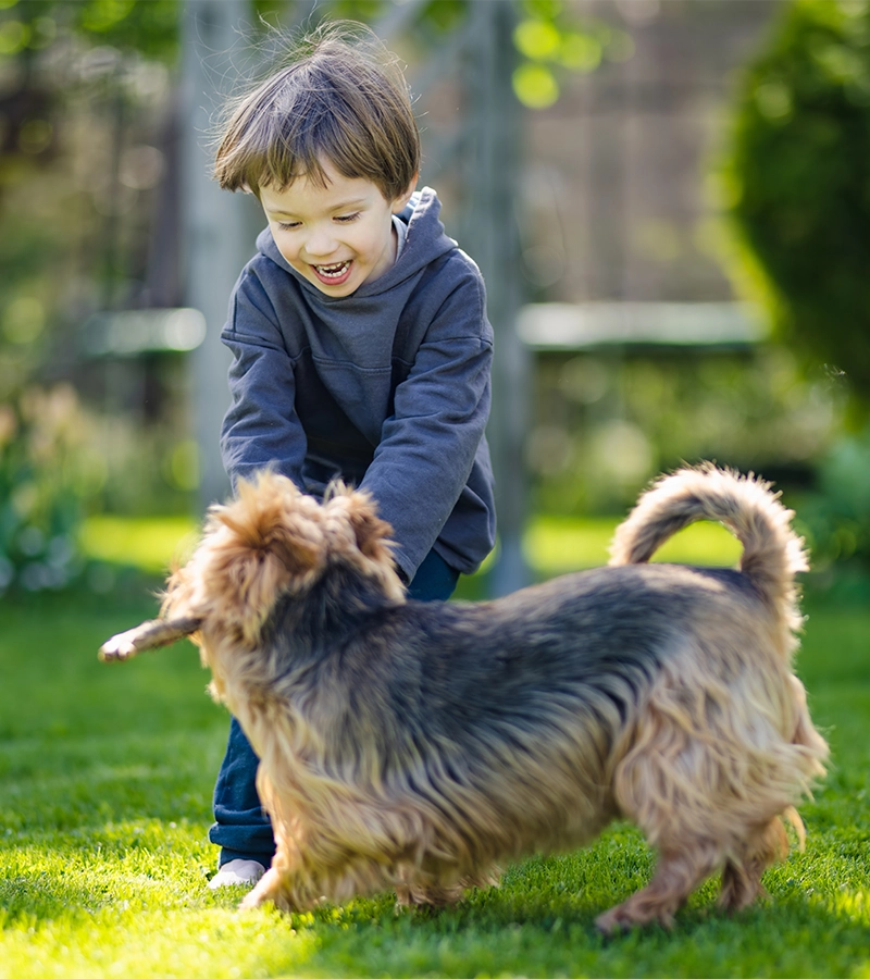 A palm tree section on a Florida home with a freshly cut lawn around it.