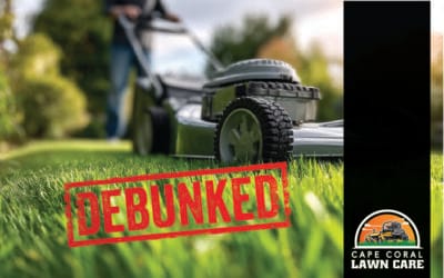 Florida Lawn Care Tips: Debunking the Myths Every Homeowner Believes