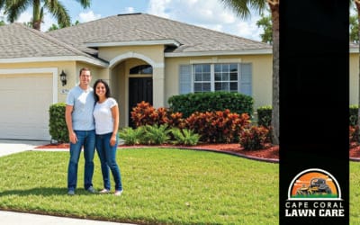 Lawn Care for New Homeowners: Your Cape Coral Checklist for a Happy Yard