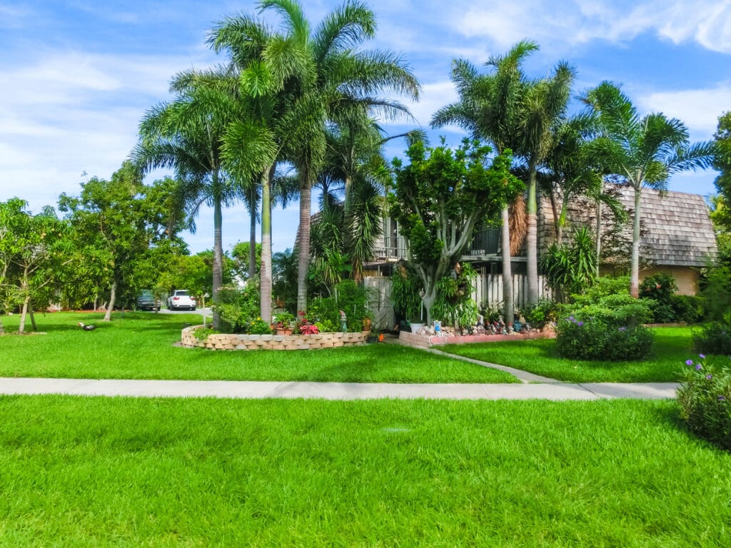 Healthy Cape Coral lawn with palm trees and lush grass maintained using proper Florida lawn care practices.