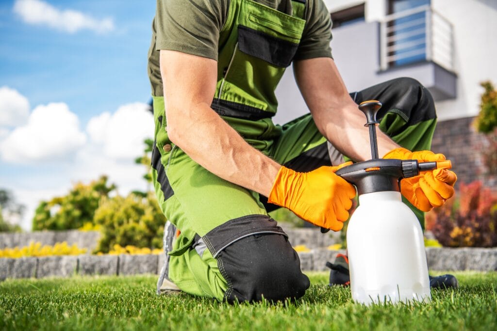 Lawn care professional using a sprayer to treat lawn fungus.
