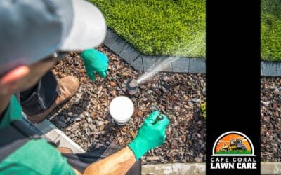 Best Irrigation Systems for Cape Coral Lawns: Water-Saving Sprinkler vs. Drip