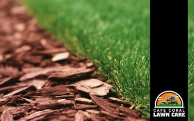 Lawn Edging and Mulching for a Cleaner, More Polished Florida Landscape