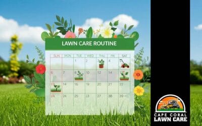 How to Create a Lawn Care Routine That Works for Your Cape Coral Yard