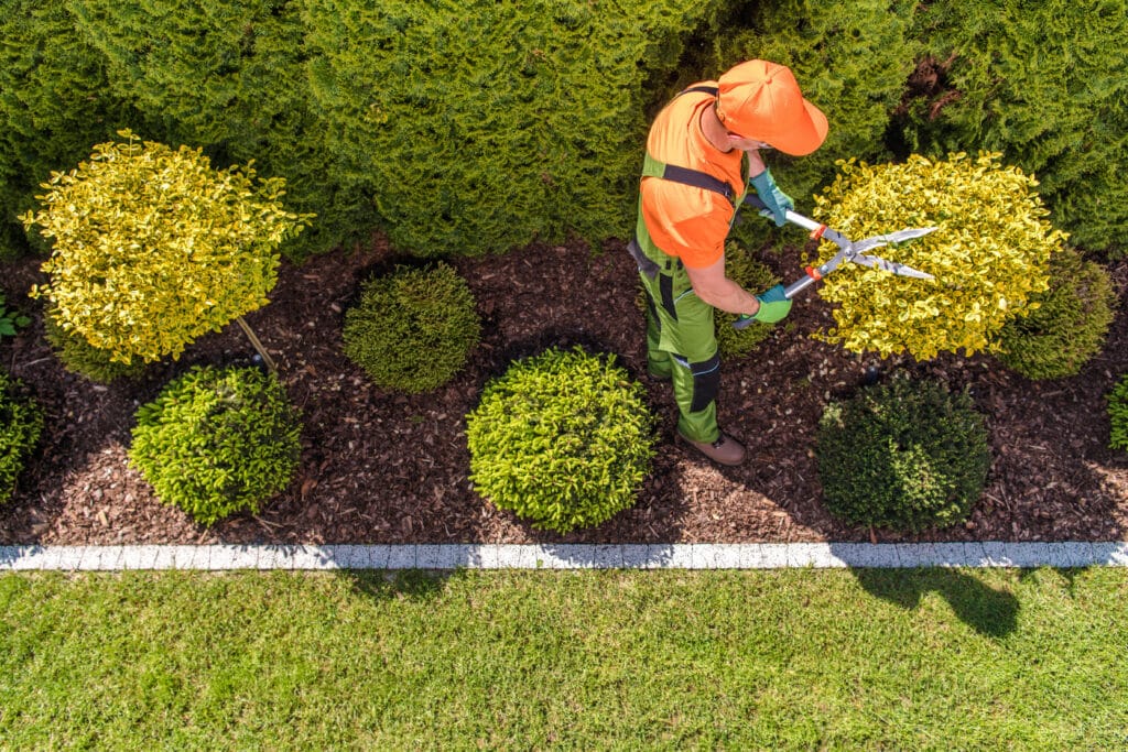 A Cape Coral lawn being maintained by a worker who is trimming the bushes.
