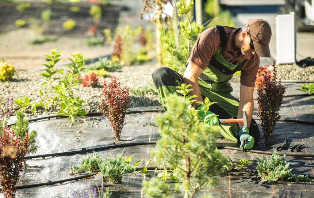 Professional installing a drip irrigation system to water plants in Cape Coral Lawn.