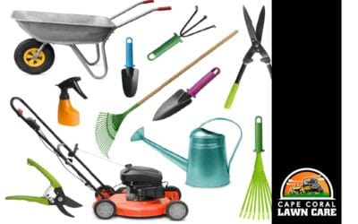 Must-Have Lawn Care Tools for Easier Yard Maintenance in Cape Coral