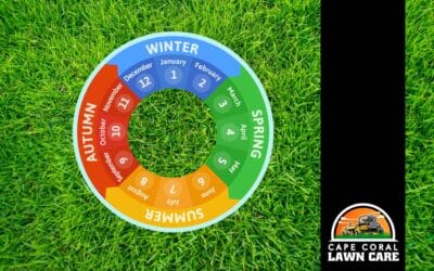 Seasonal Lawn Care Calendar for Cape Coral (What to Do Each Month)