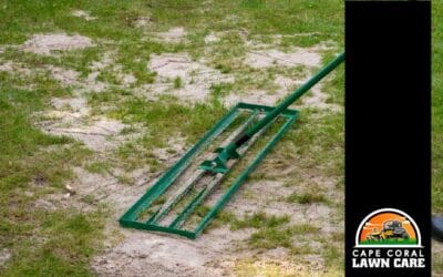 How to Fix Soil Compaction in Florida Lawns