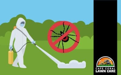 Florida Lawn Pests: Common Problems and How to Protect Your Lawn