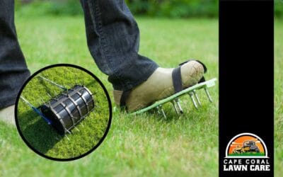 Florida Lawn Care Guide: Why Aeration Matters for Healthier Grass