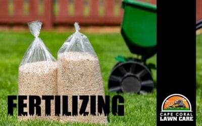 Lawn Care in Florida: How to Fertilize for a Strong Lawn