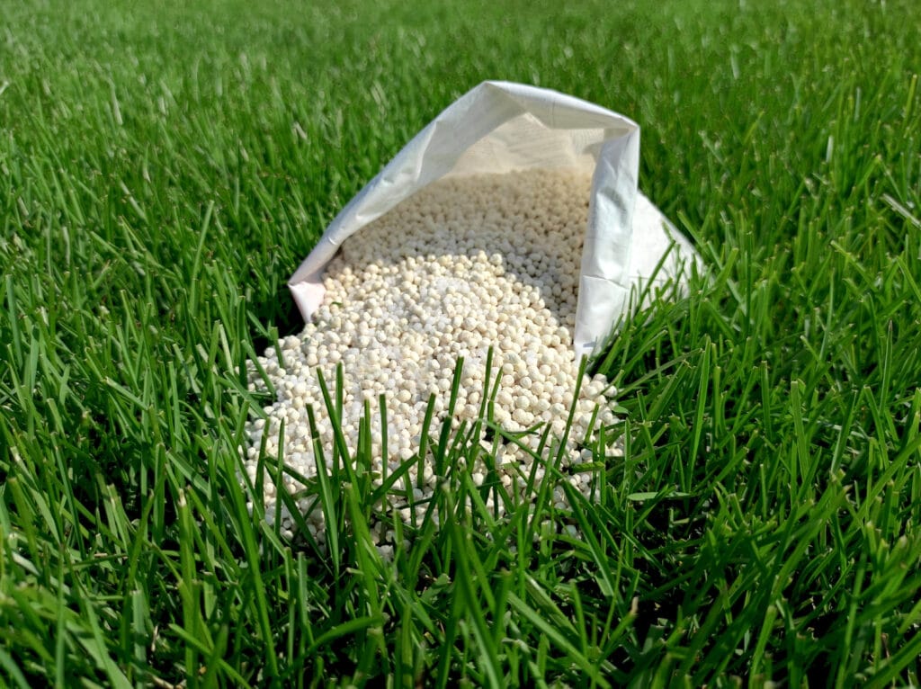 Close-up of granular fertilizer on a healthy green Cape Coral lawn during routine lawn care treatment.