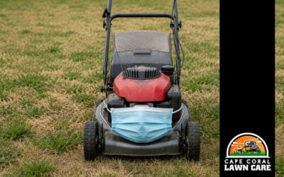 Lawn Diseases in Florida: Humidity, Spread & Prevention