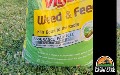 The Truth About Weed and Feed Products for Florida Lawns