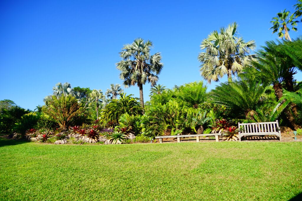 Healthy Florida trees growing in a Cape Coral landscape with palms, shade trees, and tropical plants.