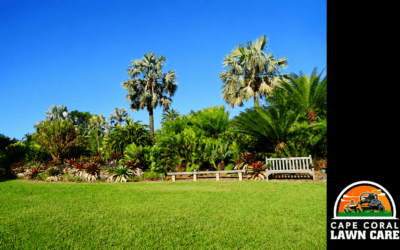 How Sandy Soil Affects Lawn Growth in Cape Coral and How to Improve It