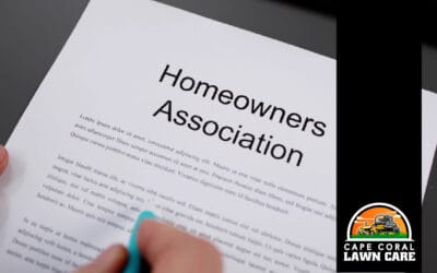 HOA Lawn Care Rules in Florida: What Homeowners Should Know