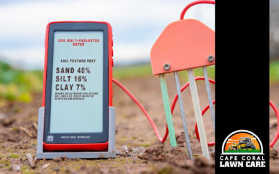 How Sandy Soil Affects Lawn Growth in Cape Coral and How to Improve It