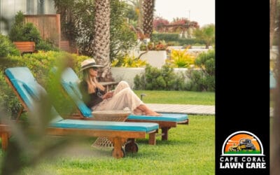 How to Keep Your Florida Lawn Healthy During Vacation Season