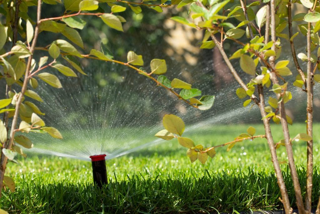 Cape Coral lawn with sprinkler system and drip irrigation system watering plants efficiently.
