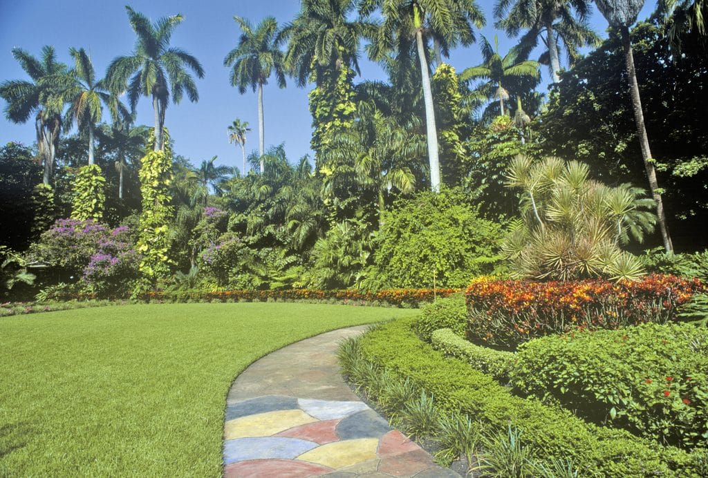 Native Florida plants surrounding a healthy green lawn in a Cape Coral residential landscape.