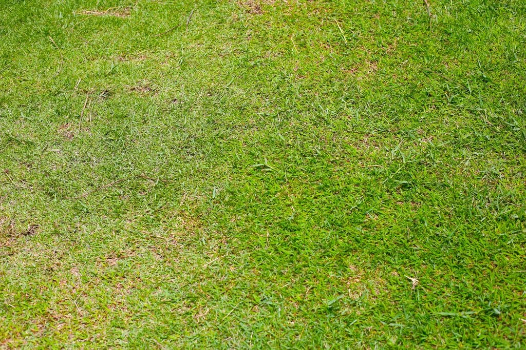 Cape Coral lawn with uneven grass growth showing thick green areas next to thin and patchy turf.