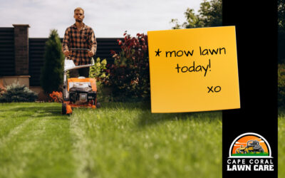 How Often Should You Mow Your Florida Lawn?