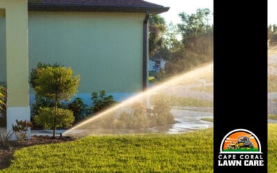 Can You Overwater Your Florida Lawn in the Fall?